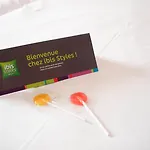 Ibis Styles Gare Sud