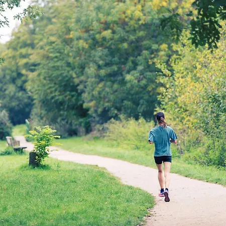 Ibis Styles Gare Sud 3*
