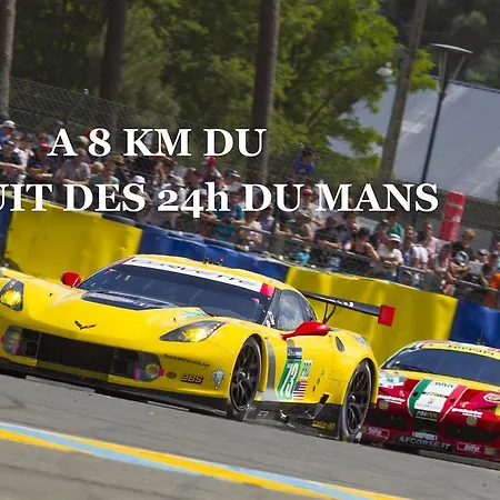 Отель Ibis Styles Gare Sud 3*