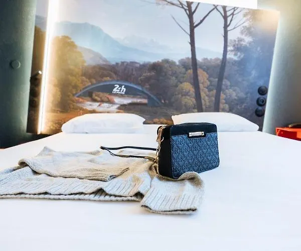 Ibis Styles Gare Sud Hotel 3*