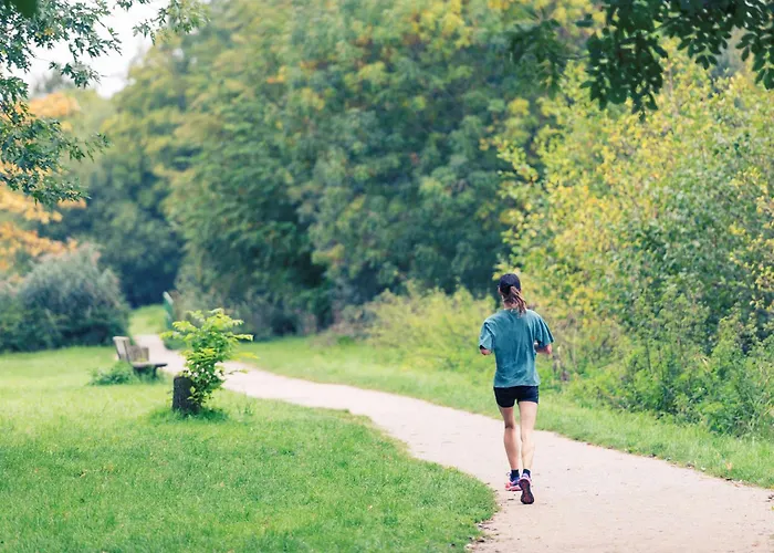 Ibis Styles Gare Sud 3*